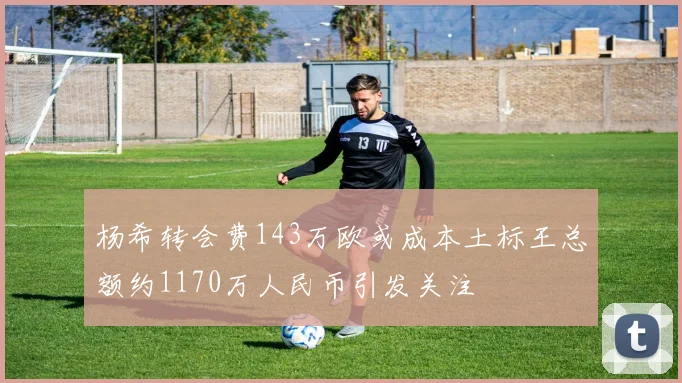 杨希转会费143万欧或成本土标王总额约1170万人民币引发关注